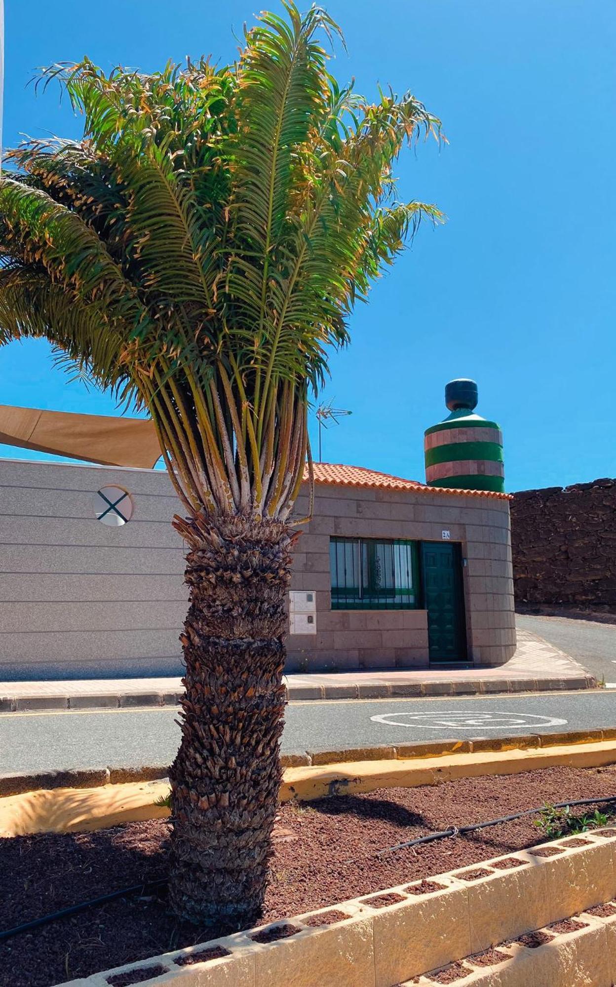 Loft El Tabaibal Telde Exterior foto